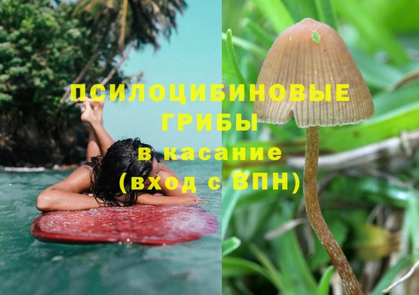дживик Володарск
