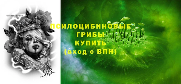 стаф Волосово